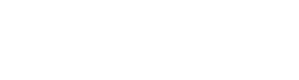 TraxionPay Logo